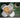 Floral Print Round Roti Cover - 100% Cotton Cloth Roti Cassrole - Hot Chapati Box